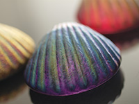 Scallop Shells by Robert Held Art Glass